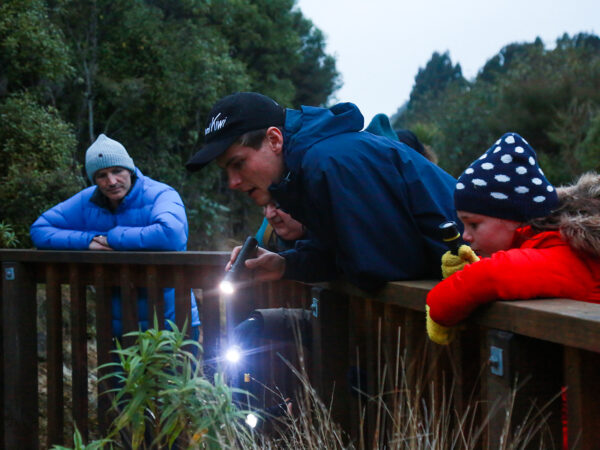 Explore Te Pō Dusk Tour Child